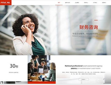 金东金融财务